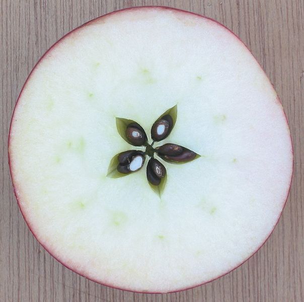 manzana